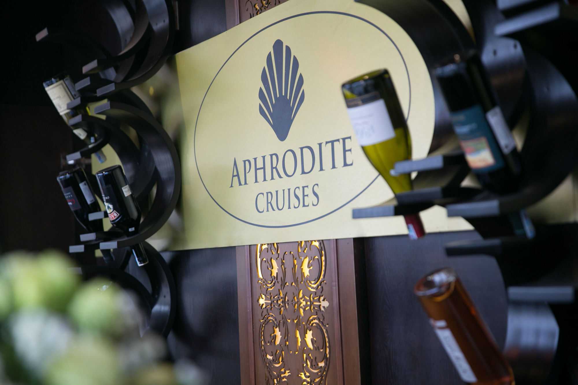 Aphrodite Cruise Hạ Long Ngoại thất bức ảnh
