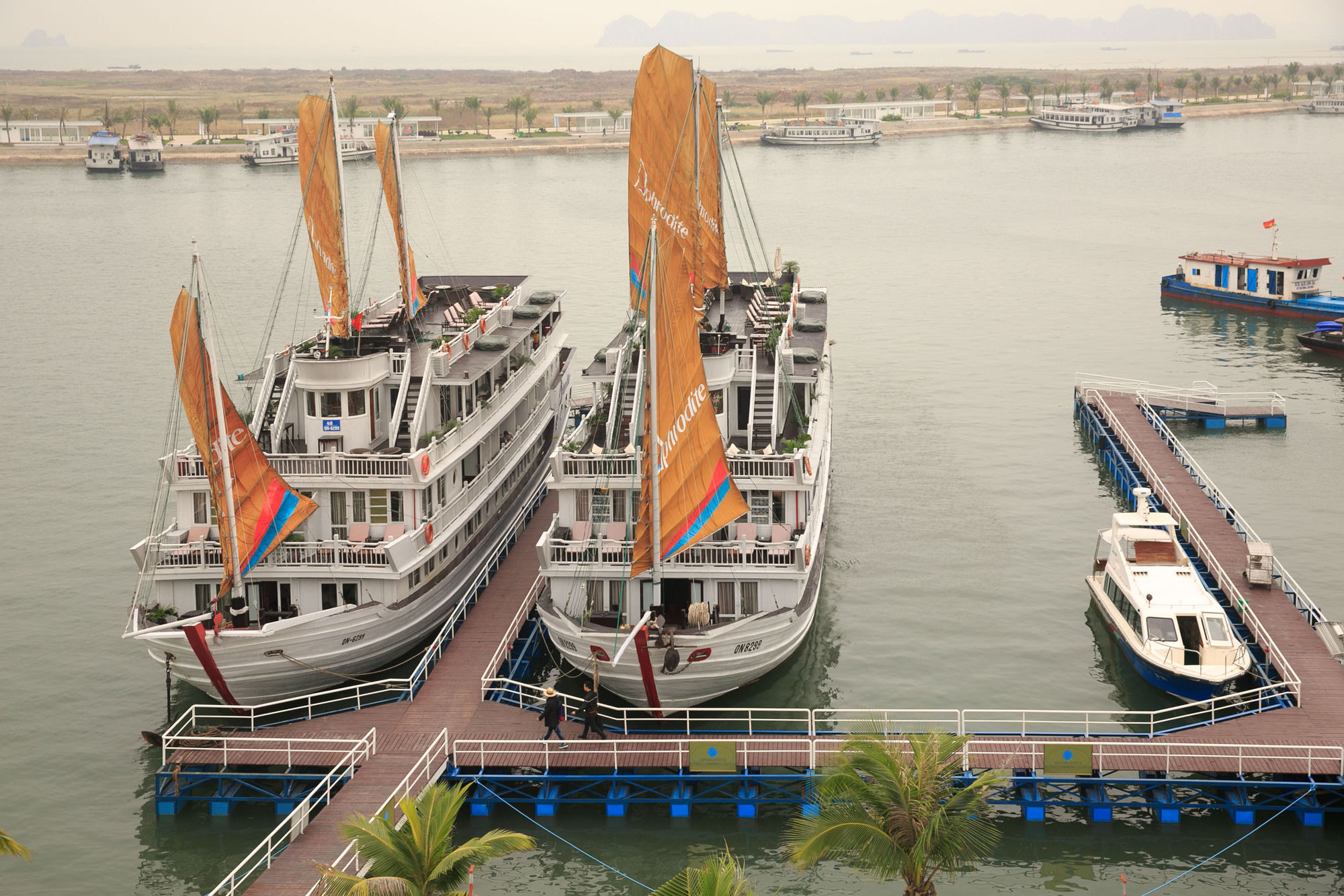 Aphrodite Cruise Hạ Long Ngoại thất bức ảnh